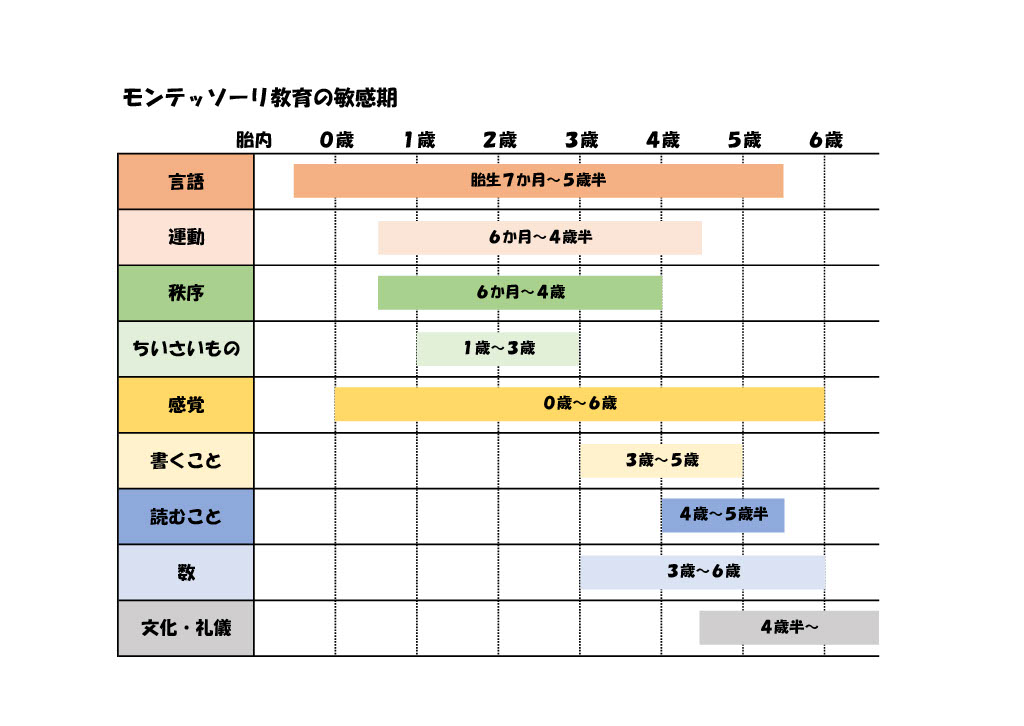 モンテ　敏感期